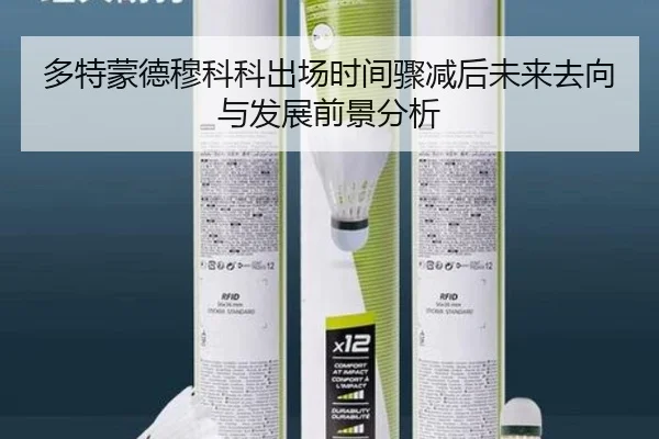 多特蒙德穆科科出场时间骤减后未来去向与发展前景分析
