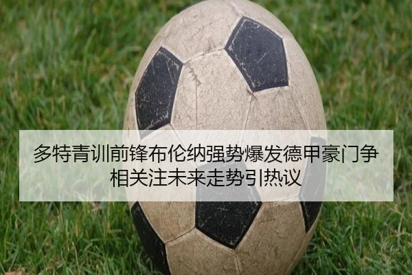 多特青训前锋布伦纳强势爆发德甲豪门争相关注未来走势引热议